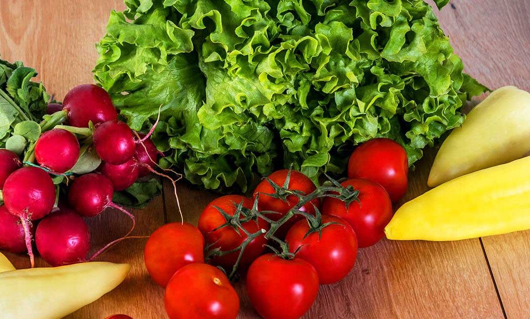 Meal Prep für Berufstätige – gesund, zeitsparend & alltagstauglich